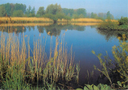 Waasmunster Durme Landschappen - Waasmunster