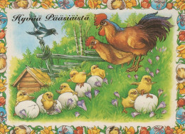 PÂQUES POULET ŒUF Vintage Carte Postale CPSM #PBO874.A - Pâques