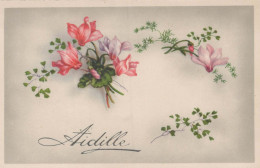 FLEURS Vintage Carte Postale CPA #PKE604.A - Fleurs