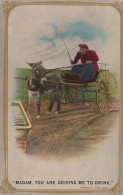 DONKEY Animals Vintage Antique Old CPA Postcard #PAA286.GB - Donkeys