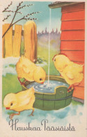 EASTER CHICKEN Vintage Postcard CPSMPF #PKD328.GB - Easter