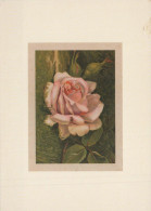 FLOWERS Vintage Postcard CPSM #PBZ657.GB - Fleurs