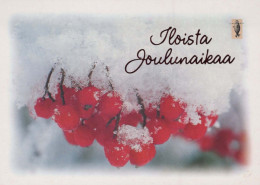 FLORES Vintage Tarjeta Postal CPSM #PAS366.ES - Flores