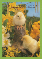 PÂQUES POULET ŒUF Vintage Carte Postale CPSM #PBO645.FR - Easter