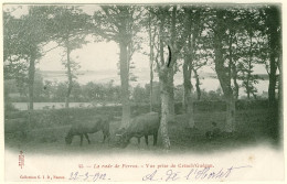 22 - B13205CPA - PERROS GUIREC - La Rade, Vue Prise De Créach'Guegan - Carte Pionnière - Parfait état - COTES-D'ARMOR - Perros-Guirec