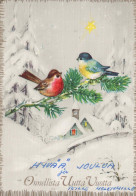 PÁJARO Animales Vintage Tarjeta Postal CPSM #PBR400.ES - Birds