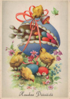 PASCUA POLLO HUEVO Vintage Tarjeta Postal CPSM #PBP140.ES - Pasen