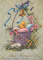 PASCUA POLLO HUEVO Vintage Tarjeta Postal CPSM #PBP079.ES - Easter