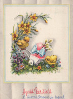 PASCUA POLLO Vintage Tarjeta Postal CPSM #PBO951.ES - Easter