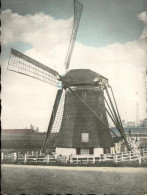 71492537 Niederlande Windmuehle  - Autres & Non Classés