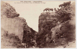 16 - B24080CPA - ANGOULEME - Les Chevres De Marc Isaure Dans Les Chaumes De Crage - Très Bon état - CHARENTE - Angouleme