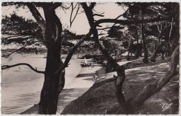 83 - B16055CPSM - ILE DE PORQUEROLLES - Plage De La Courtade Et Les Campings - Très Bon état - VAR - Autres & Non Classés