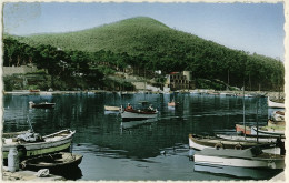 83 - B15994CPSM - SAINT CYR SUR MER - Le Port De La Madrague - Très Bon état - VAR - Saint-Cyr-sur-Mer