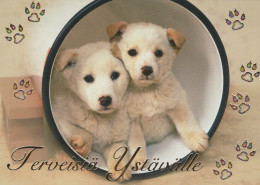 CANE Animale Vintage Cartolina CPSM #PAN651.IT - Dogs