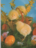 OSTERN HUHN EI Vintage Ansichtskarte Postkarte CPSM #PBO641.DE - Easter