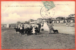 33 - B27193CPA - SOULAC SUR MER - Chevrier Et Son Troupeau Sur La Plage - Très Bon état - GIRONDE - Soulac-sur-Mer