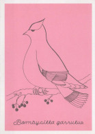 UCCELLO Animale Vintage Cartolina CPSM #PBR459.IT - Oiseaux