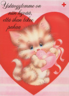 GATTO KITTY Animale Vintage Cartolina CPSM #PBQ992.IT - Chats