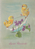 PASQUA POLLO UOVO Vintage Cartolina CPSM #PBO698.IT - Easter