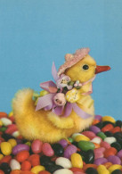 PASQUA UOVO Vintage Cartolina CPSM #PBO193.IT - Easter