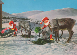 BABBO NATALE Buon Anno Natale CERVO Vintage Cartolina CPSM #PBB221.IT - Santa Claus