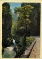 38. En CHARTREUSE – Route Du Désert Dans Les Gorges Du Guiers-Mort (voir Scan Recto/verso) - Chartreuse