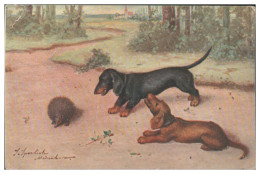 V6418/ Dackel Dachshund Uind Igel  Künstler AK Sperlich  1908 - Chiens