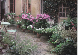 SEZANNE. Le Jardin De L'Ancienne Poste (Rue De L'Hôtel De Ville) - Sezanne