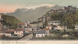 Ricordo Di BELLINZONA. Weinbau In Den Gärten Und Neben Der Eisenbahn, Atelier H.Guggenheim, Um 1900 - Bellinzone