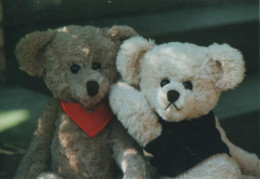 23555 - Heller Und Dunkler Teddybär - 2004 - Non Classificati