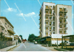 Bb519 Cartolina Pinarella Di Cervia Viale Italia Ravenna - Ravenna