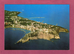 Procida Island. Panorama. Bird Eye View- Standard Size, Divided Back, New. Ed. Le Cadeaux N° 20. - Sonstige & Ohne Zuordnung