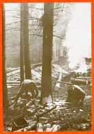 N° 23 Années 80 Les Bucherons Lè Beuquillons Foret Coupe Bois (les Vosges) Sépia Aymard 88 Vosges Vieux Métiers - Artisanat