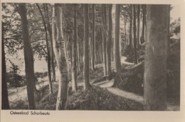134511 - Scharbeutz - Im Wald - Scharbeutz