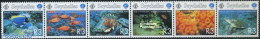 Seychelles 1998 International Ocean Year 6v [:::::], Mint NH, Nature - Fish - Turtles - Poissons