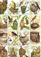 GF2368 - PLANCHE VIGNETTES BISCOTTES SAINT LUC - OISEAUX ET NIDS - Andere & Zonder Classificatie