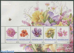 Netherlands - Personal Stamps TNT/PNL 2014 Flowers 5v M/s, Mint NH, Nature - Butterflies - Flowers & Plants - Other & Unclassified