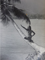 PHOTO AMATEUR RARE D'UNE TAHITIENNE VAHINE NUE SUR UN COCOTIER - ANNEES 50 Ou 60 - Non Classificati