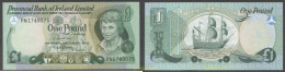 5293 IRLANDA 1979 IRELAND 1 POUND 1979 - 1 Pound