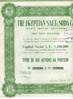 The EGYPTIAN SALT And SODA Company - Non Classés