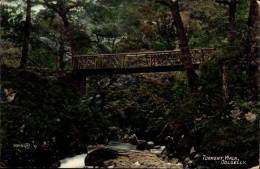 CPA Dolgellau Dolgelly Dolgelley Wales, Torrent Walk - Other & Unclassified