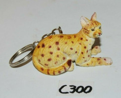 C300 Ancien Porte Clef - CAT - 1994 - Altri & Non Classificati