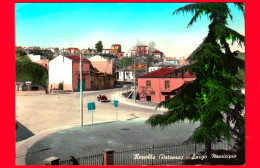 ITALIA - BASILICATA - Rapolla (Potenza) - Largo Municipio - Cartolina Viaggiata Nel 1962 - Sonstige & Ohne Zuordnung