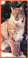 Cartonnette Chocolat Nestlé Merveilles Du Monde 338 LE LYNX Félins Image Photo Animaux - Animals