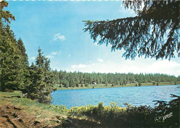 63 - Lac De Servière - Lac De Cratère Près Du Puy De Comperet - Carte Dentelée - CPM - Carte Neuve - Voir Scans Recto-Ve - Autres & Non Classés