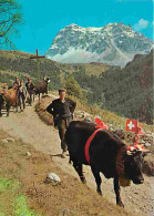 Animaux - Vaches - Suisse - Désalpe En Valais - Paysans - CPM - Voir Scans Recto-Verso - Kühe