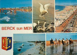 62 - Berck Sur Mer - CPM - Voir Scans Recto-Verso - Berck