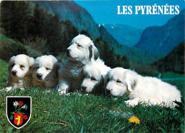 Chiens - CPM - Voir Scans Recto-Verso - Hunde