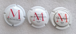 3 Capsules De Champagne Montaudon - Andere & Zonder Classificatie