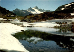 Sustenpass - Passhöhe Mit Dem Stucklistock (5950) * 18. 8. 1980 - Gadmen 